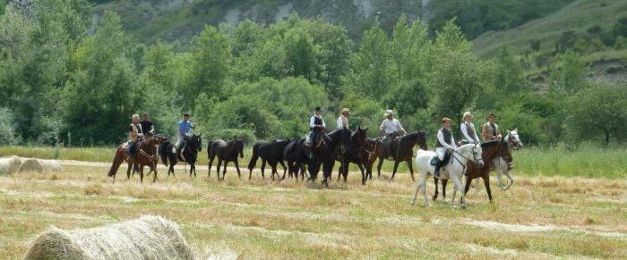 die Wettbewerbe im Pferdesport Tourismus