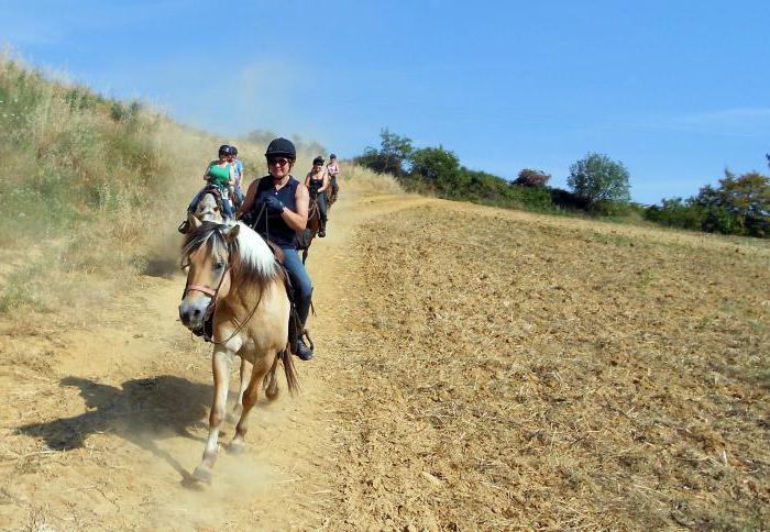 the development of equestrian tourism in Russia