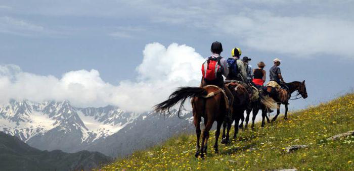 конный туризм в россии