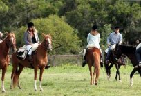 Equestrian tourism: organization and development in Russia