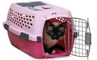 transporte para gatos preço