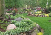 The landscape in the country. Landscape design with your hands (photos)