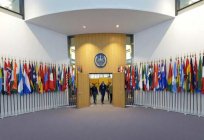 International tribunals, their activities and regulations