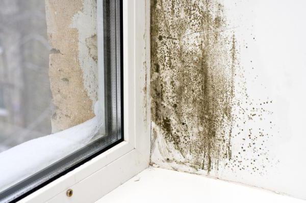 cómo arreglar una elevada humedad en el apartamento