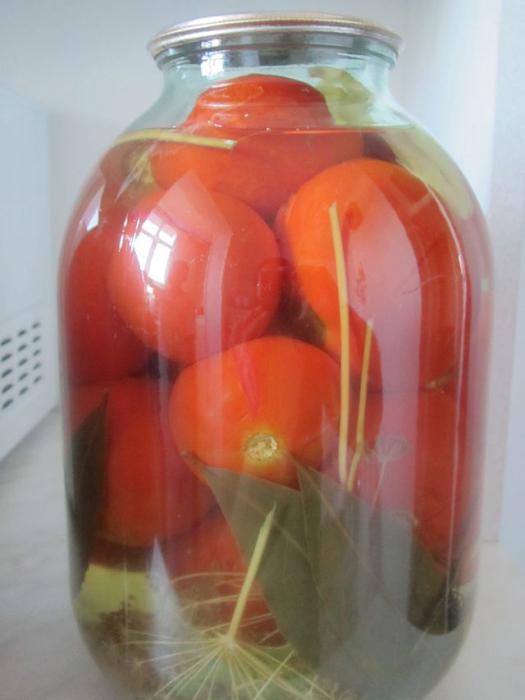 tomatoes in jars with mustard