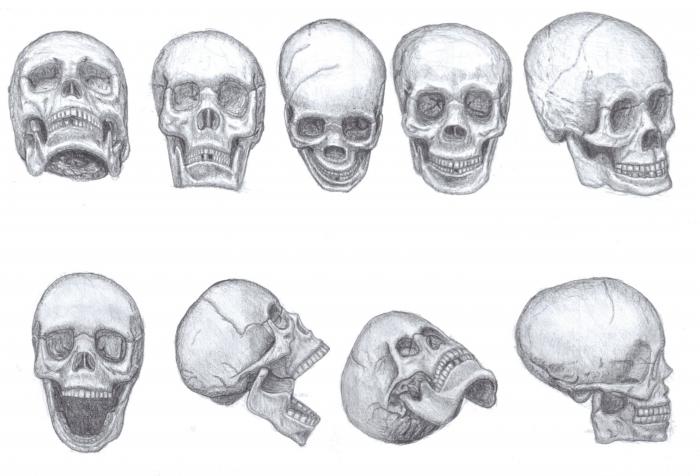 how to draw a skull step by step,