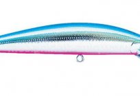 Lures - a variety of models for fishing for pike