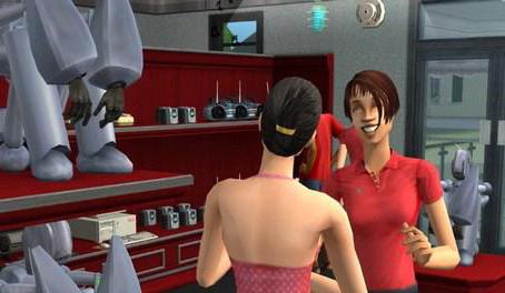 game Sims 2 business