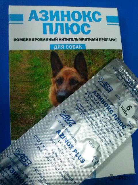азинокс Plus für Hunde Anweisung