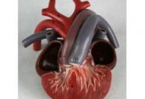 Четырехкамерное coração têm anfíbios e répteis: exemplos