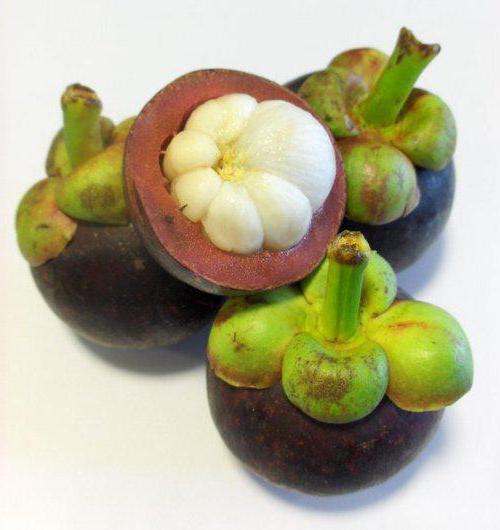 ध्यान केंद्रित mangosteen प्रशंसापत्र