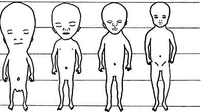 las normas de tamaño del feto