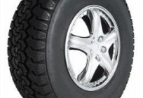 How to choose summer tires - professional advice!