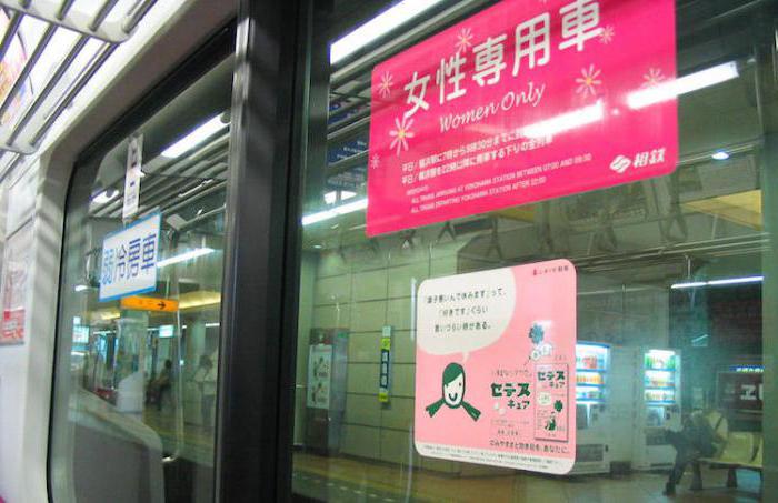 Japanese schoolgirl in the train