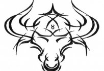 Taurus. With what at what number? And what is it?