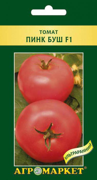 Tomaten für den Anbau im freien