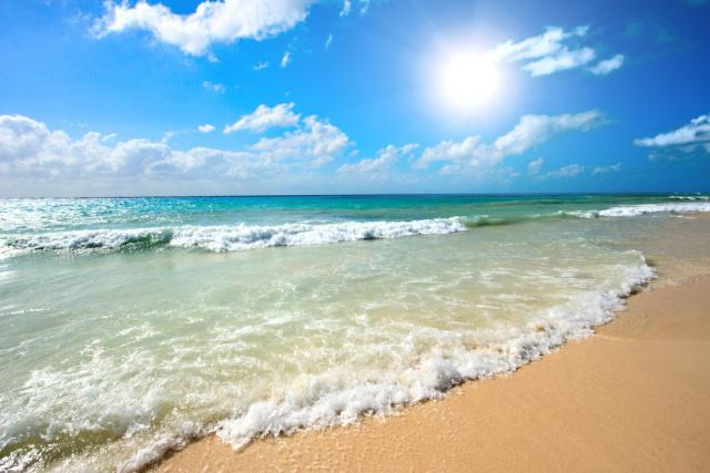 राजहंस धूप समुद्र तट 4, सनी beach की समीक्षा