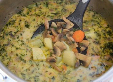 Kochen Pilzsuppe aus den Champignon