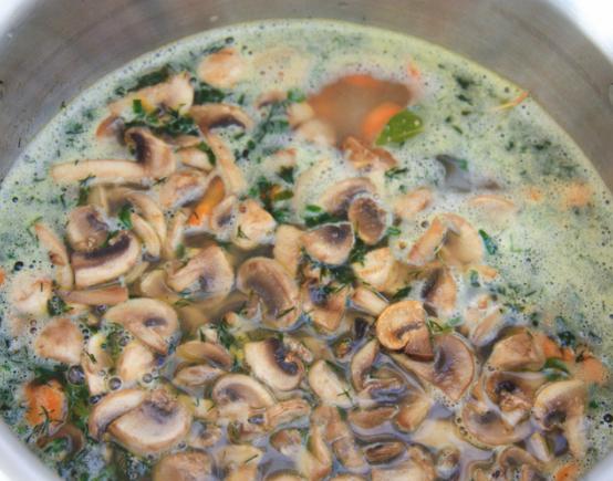 uma deliciosa sopa de cogumelos