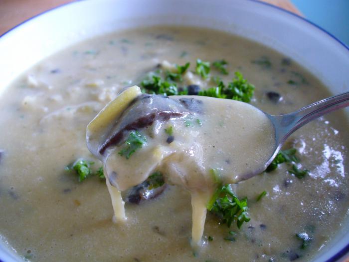 Suppe mit Champignons und Nudeln