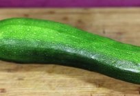 How to plant zucchini?