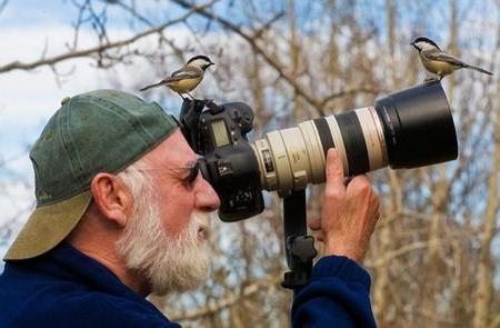 o que estuda observador de pássaros