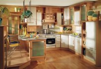 Gestaltung der Küchen: Fotos, Ideen, Tipps