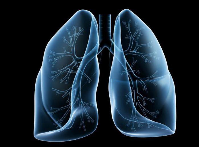 Пересадка легенів