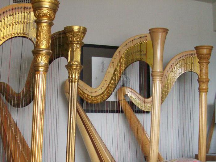 щипковый instrument muzyczny