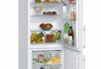 冷蔵庫Liebherr CES4023:仕様やレビュー