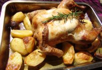 Como assar um frango com batatas fritas): opções de culinária e receitas