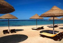 فندق Onatti Beach Resort (مصر, مرسى علم): الوصف و الصورة