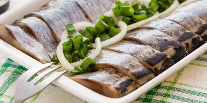 herring, which fish