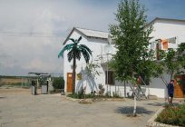 A aldeia Frunze (Crimea): resumo
