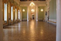 阿尼奇科夫宫是一个历史纪念碑的圣彼得堡