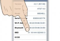 Rfb的iPhone5S：你是什么意思? 它是值得买吗？