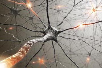 for the first time, the nervous system appeared in
