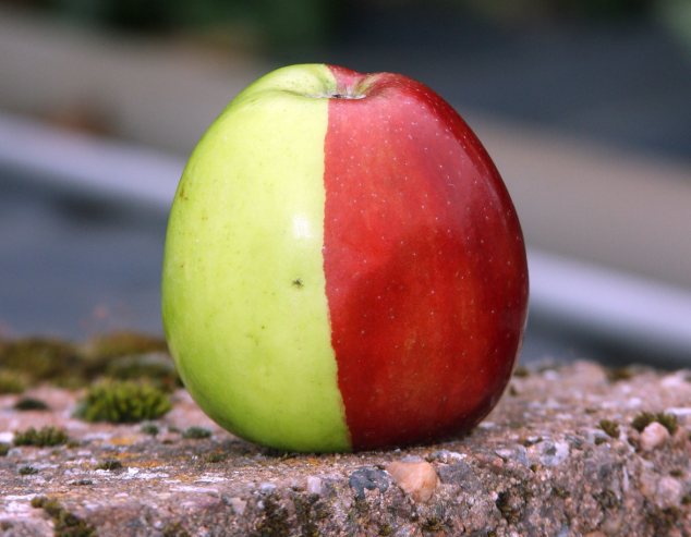 einen Eindeutigen Apfel