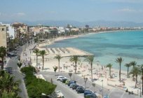 Costa do Mediterraneo 3* e 2* (Espanha/о. de Maiorca) - fotos, preços e opiniões de turistas da Rússia