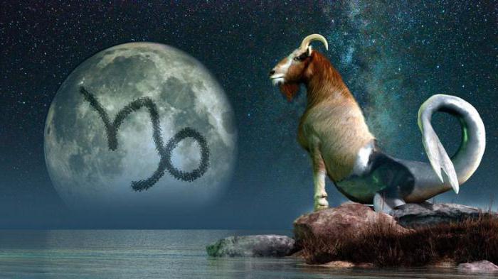 20 stycznia znak zodiaku wodnik lub koziorożec