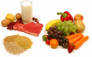 タンパク質エネルギーの栄養失調の治療