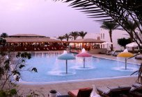 El hotel Happy Life Village Dahab (egipto/dahab): los clientes
