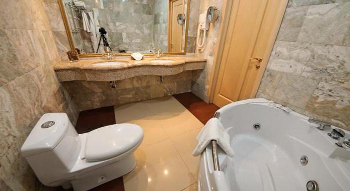 酒店的瓦努科沃浴室