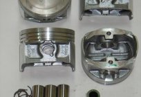 ZMZ-409 engine: specifications, repair, reviews