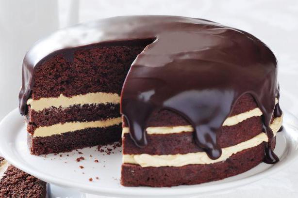  üppigen Schokoladen-Biskuit Kuchen