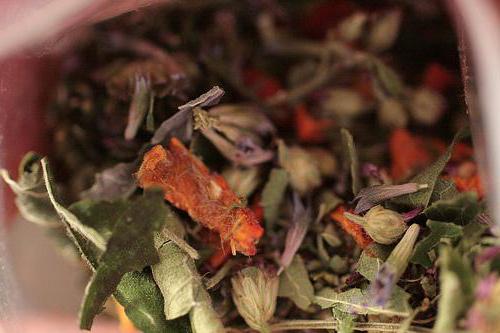 naturalne herbaty ziołowe