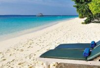 Royal Island Resort & Spa 5* (Maldivas): descrição de quartos, serviço de viajante