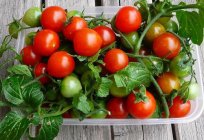 Hangi potas gübreler, domates için uygun optimal?