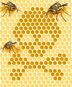 饲养蜜蜂在冬季
