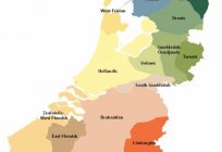 На якій мові говорять в Голландії? Національна мова Голландії